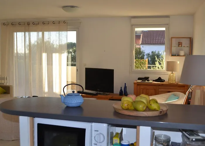 Confortable Avec Climatisation Et Jardin à - Fr-1-604-36 Appartamento